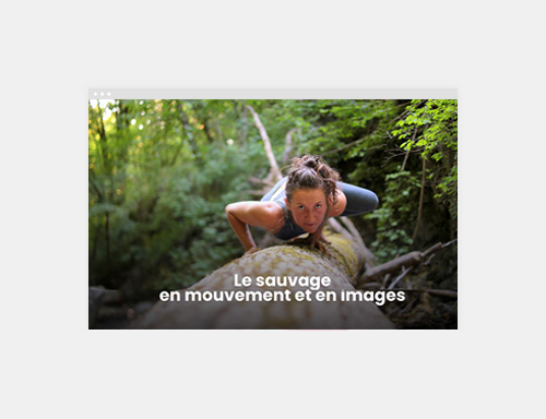 Vignette Création Site WordPress Christiane Howe