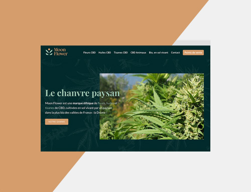 Création Site Web WordPress pour MoonFlower